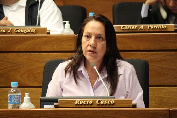 Exdiputada plantea anular su imputación - Judiciales.net