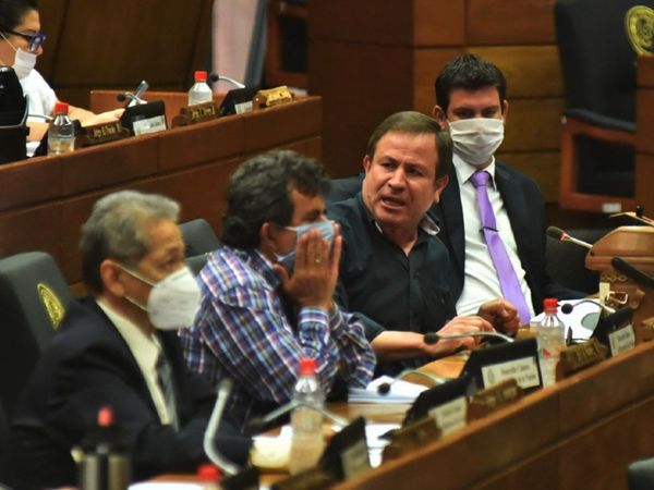 Diputados dirá si continúa o no derroche en binacionales