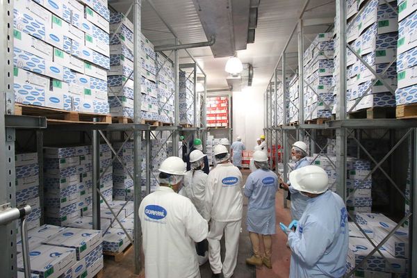 Frigorífico Guaraní aplica medidas para seguir su producción