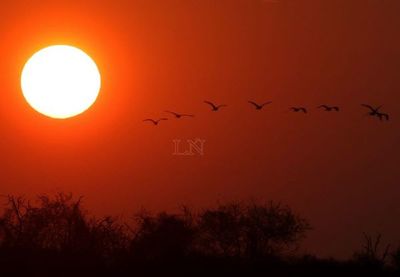 Día de las madres cálido y soleado