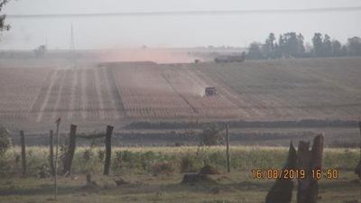 Sojeros aprovechan la cuarentena para continuar deforestando, denuncian