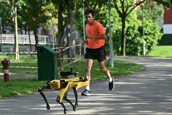SPOT, el perro robot que controla a los habitantes de Singapur durante la cuarentena