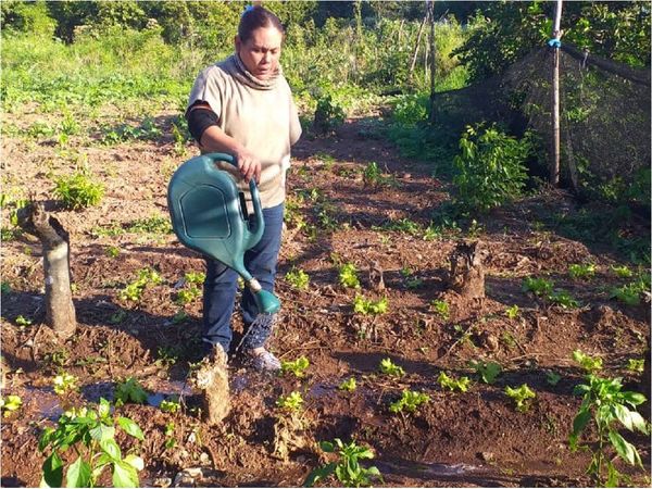 Madre campesina, modelo de entrega en busca de mejores condiciones de vida