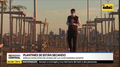 Costanera Norte: Plantines se están secando - ABC Noticias - ABC Color