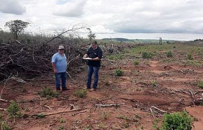 Analizan el nuevo régimen de sanciones forestales - Economía - ABC Color