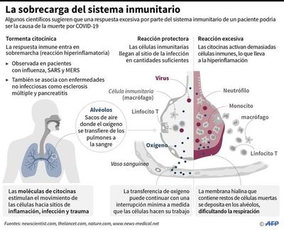 La ciencia investiga vínculo entre el covid-19 y nueva enfermedad infantil - Internacionales - ABC Color
