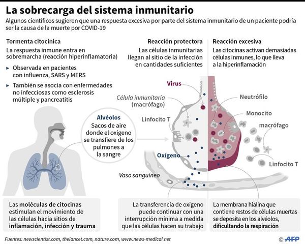 La ciencia investiga vínculo entre el covid-19 y nueva enfermedad infantil - Internacionales - ABC Color