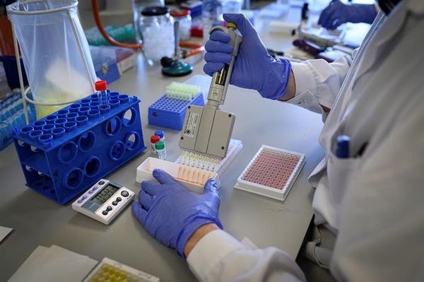 Argentina crea test que detectan COVID-19 en una hora con 98% de coincidencia - Ciencia - ABC Color