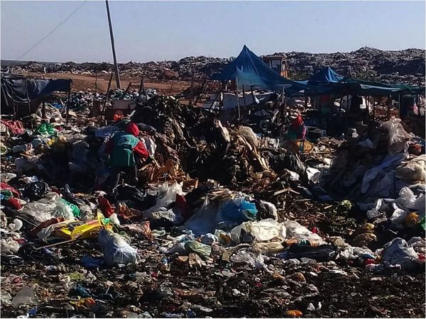 Pandemia  del Covid también golpea a  la tarea de  recicladores  en el país