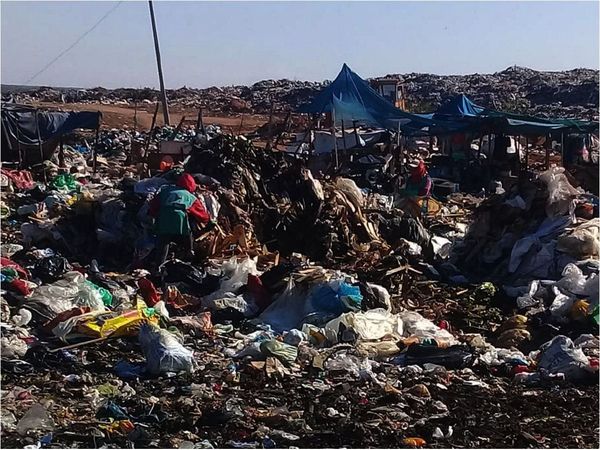 Pandemia del Covid también golpea a la tarea de recicladores en el país