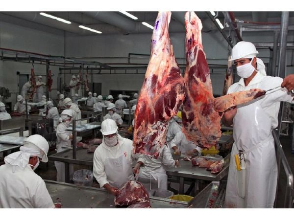 La lenta reactivación   de mercados afecta exportación de carne