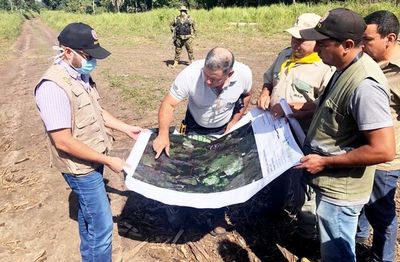 Mades ralentizará servicios por falta de técnicos, dice - Locales - ABC Color