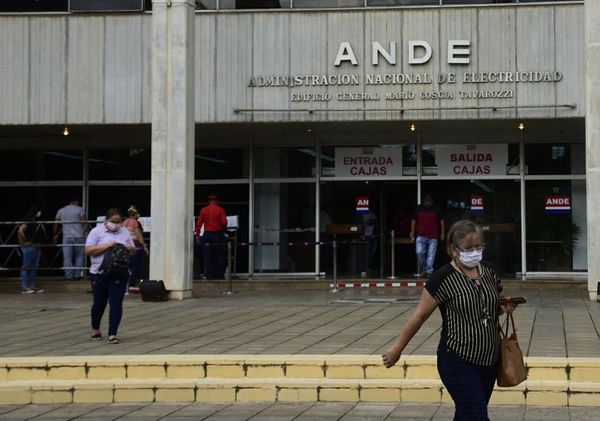 Oficinas de la ANDE vuelven a abrirse desde este lunes - Nacionales - ABC Color