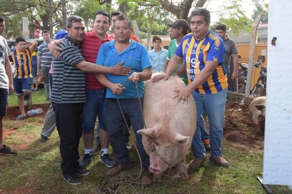 Premian a los chanchos más grandes - Campo 9 Noticias