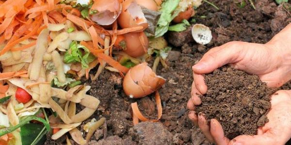 Itaipú premiará con smart a familias que reciclen residuos