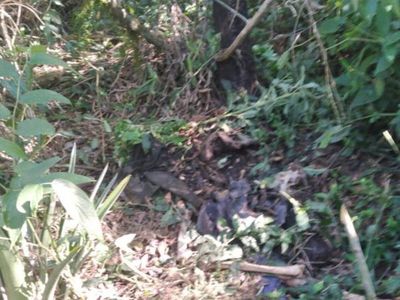 Hallaron restos óseos en Minga Guazú