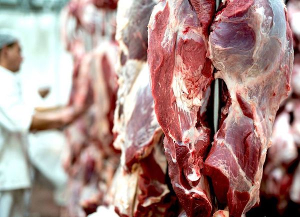 Precios bajos y reactivación lenta de mercados ponen freno a la exportación de carne