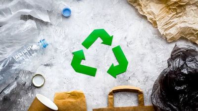 Día mundial del reciclaje: ¿Qué podemos hacer con nuestros residuos?