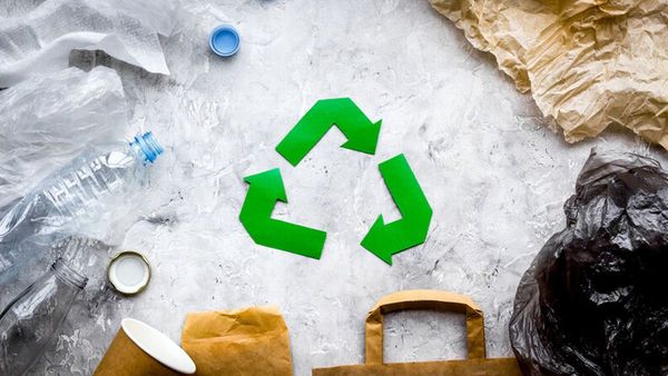 Día mundial del reciclaje: ¿Qué podemos hacer con nuestros residuos?