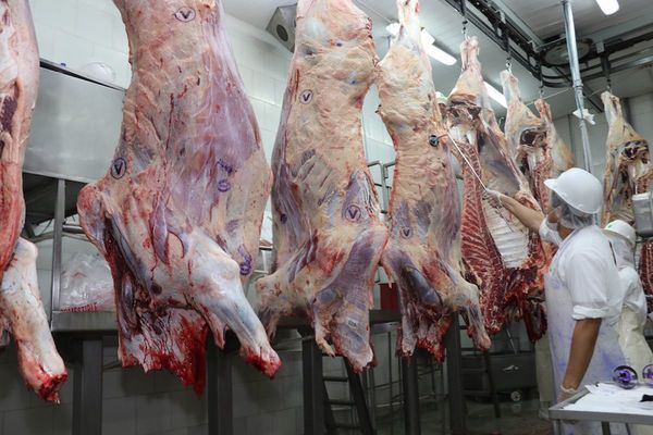 La baja demanda de carne en el exterior afecta a industria local