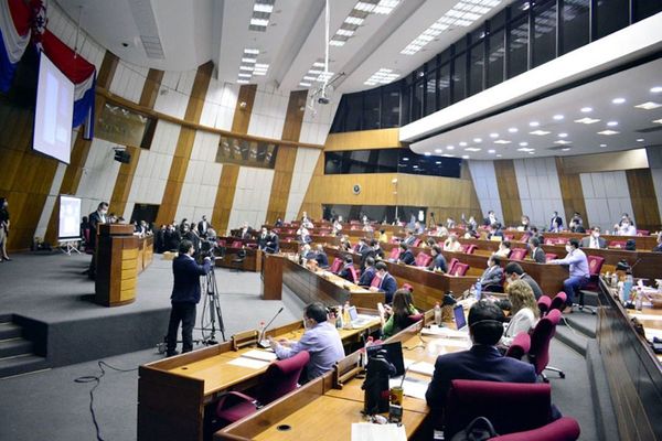 Recortes de privilegios ahora está en cancha de la Cámara de Diputados