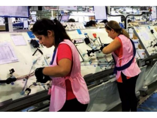 Histórica caída de la producción en el Brasil pone en jaque a la maquila