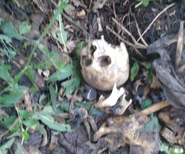 Encuentran restos  humanos en un  monte del km 20 de Minga  Guazú – Diario TNPRESS