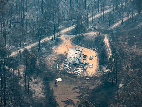 Cambio climático acabó megafauna en Australia, según estudio