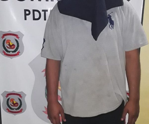 Aprehenden a solitario delincuente que intentó robar recaudación de una bodega – Diario TNPRESS