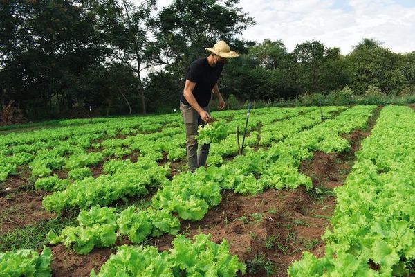 DE PERSONAL TRAINER A AGRICULTOR