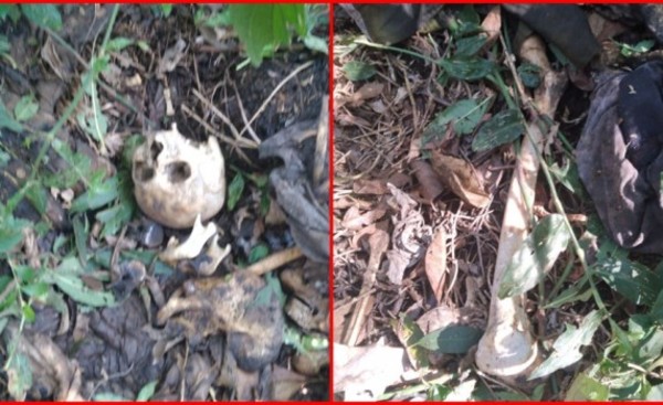 Reportan hallazgo de restos óseos en zona boscosa de Minga Guazú
