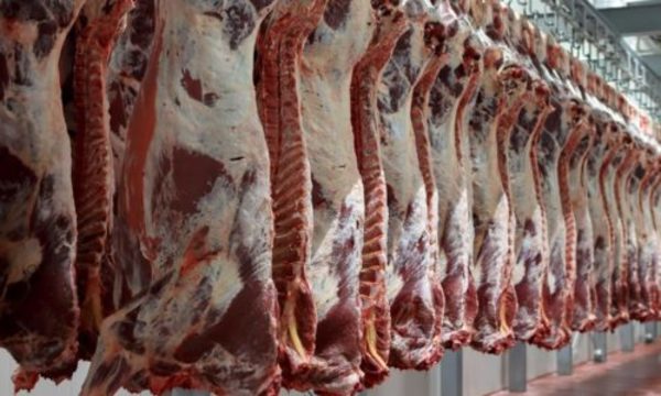 » Lenta reactivación de mercados del exterior afectan exportación de carne