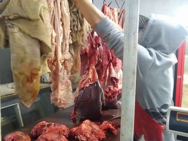 La "chura" salva del hambre a muchas familias