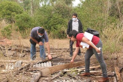 Conforman equipo de abogados que trabajará en el caso Juliette