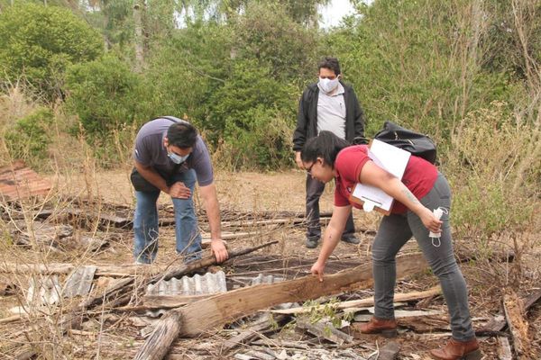 Conforman equipo de abogados que trabajará en el caso Juliette