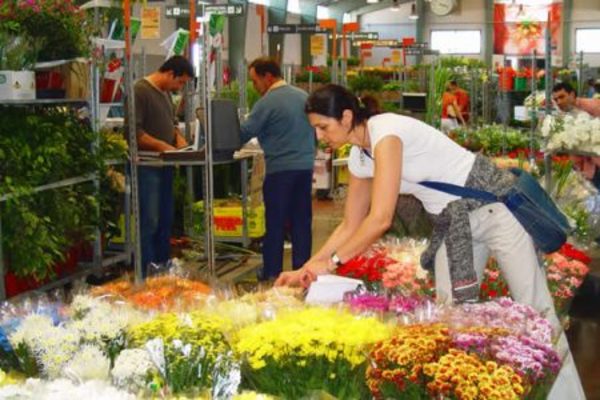 Propuesta de suspender importación de flores es rechazada por empresarios del sector