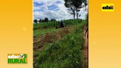 Tractor de moto - ABC Rural - ABC Color
