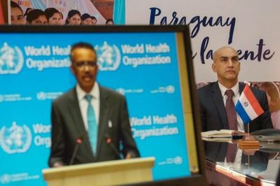 Ministro expuso a OMS resultados logrados por Paraguay con tempranas medidas de confinamiento » Ñanduti