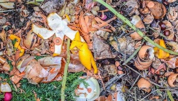 El 61% de los residuos sólidos en Paraguay son orgánicos y pueden reciclarse
