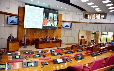 Llanistas votarán por “unanimidad” a Diesel, sin saber despejar cuestionamientos - Nacionales - ABC Color