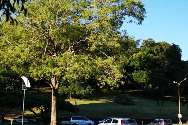 Martes fresco a caluroso y soleado, anuncia Meteorología