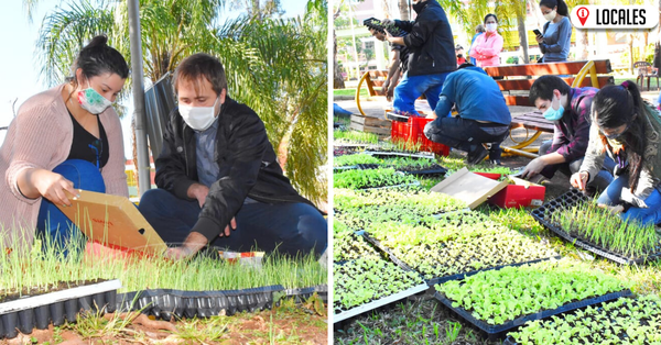 Programa «ÑAÑEMITY NDE RÓGAPE» entregó plantines de hortalizas a productores de Encarnación