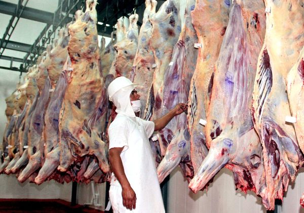Principales mercados de la carne muestran síntomas de reactivación, pero muy lentos