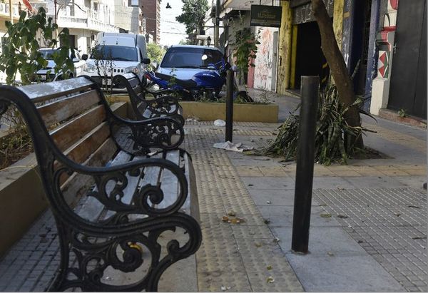 Roban asientos, faroles y estructuras del Paseo de las Luces - Nacionales - ABC Color