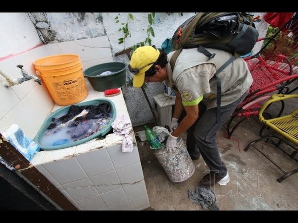 EN MEDIO DEL COVID-19, NO OLVIDAR EL DENGUE