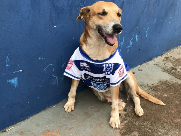 Tesapara ya cuenta con nuevo hogar en Pedro Juan Caballero