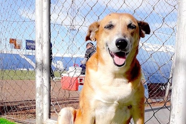 Tesapará tiene nueva casita | Crónica