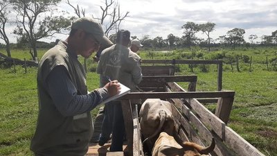 SENACSA resalta ejecución de casi el cien por ciento de inmunidad de ganados - .::RADIO NACIONAL::.