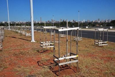 Se secaron 500 plantones en Costanera y serán repuestos - Nacionales - ABC Color