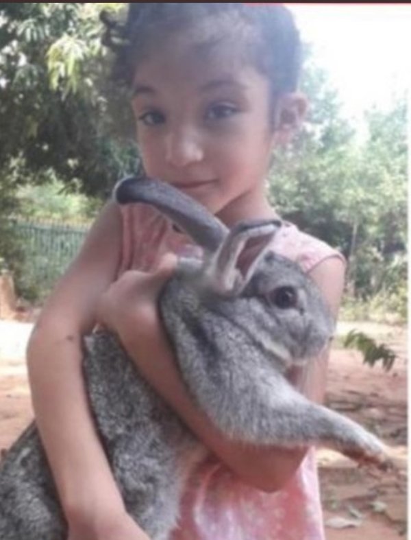 “Todos menos el padre biológico de Juliette están bajo sospecha” - Megacadena — Últimas Noticias de Paraguay